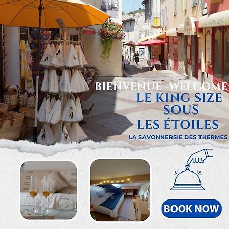 Le King & Suites Etoilees Gréoux-les-Bains Zewnętrze zdjęcie